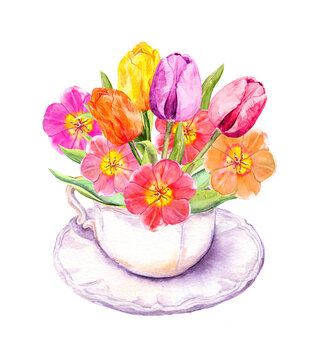 Spring Tulip Flowers In Vintage Tea Cup. Tea Party Watercolor