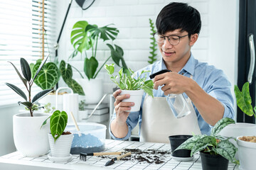 Asian man gardener is holding a small houseplant and using spray bottle watering plants to taking...