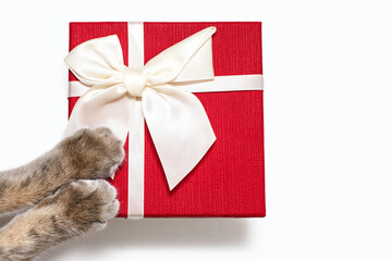 Red gift box with a white ribbon and cat paws on a white background. Gray fluffy paws of a cat lies...