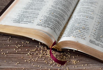 Mustard seeds on wooden table with open Holy Bible Book. Christian biblical concept of strong...