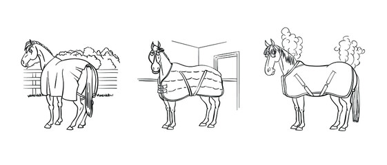 Horse blanket types. Horse character in cartoon style. 