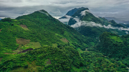 Fototapeta premium default