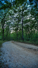 MEDUGORJE 