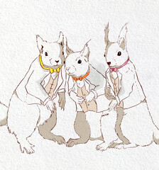 Squirrels in jackets