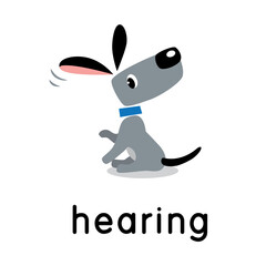 A dog is hearing. One of five senses. Hearing