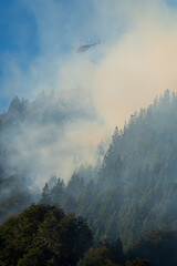 Fototapeta premium Forest fires, helicopters working through the intense smoke to control the fire.