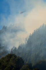 Forest fires, helicopters working through the intense smoke to control the fire.