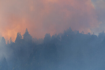 Forest Fire, Patagonia, Argentina. 
