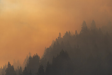 Forest fires caused by global climate change. 