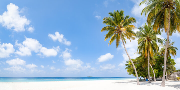 Tropical beach panorama with palm trees