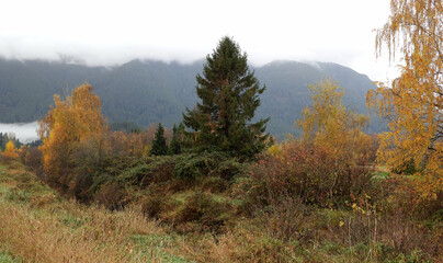 Fototapeta premium Autumn colors of British Columbia country