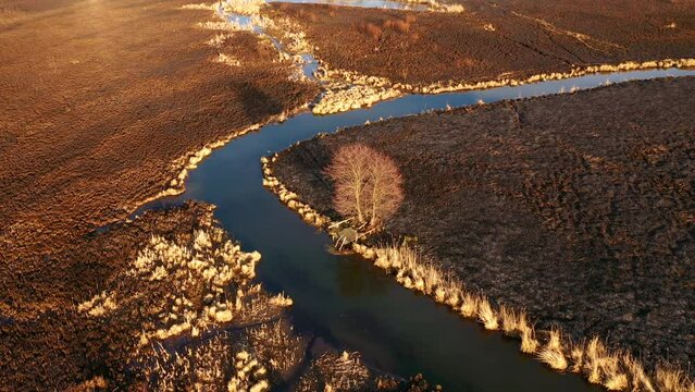 Burnt dry grass in the nature reserve of the river Seret, from a bird's eye view. Filmed in UHD 4k video.