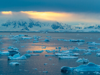 Crusing the Lemaire Channel among drifting icebergs, Antarctic Peninsula. Antarctica