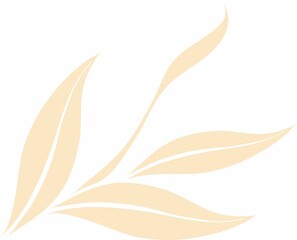 Design Texture Pattern. It can be used for decorating of wedding invitations, Ceramic Tiles, decoration for Textile Cloth and at Saree Design.