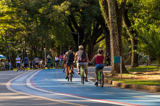 &Aacute;rea verde em S&atilde;o Paulo. 
Parque na capital de S&atilde;o Paulo.