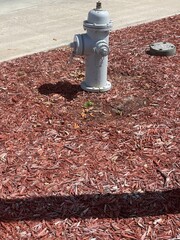 red fire hydrant