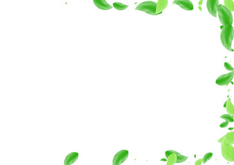 Green Vegetation Background White Vector. Plant Botanical Frame. Vitality Illustration. Greenish Selective Card. Leaves Rustic.