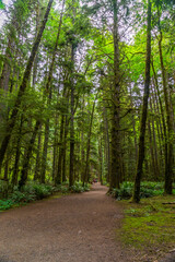 Fototapeta premium Olympic National Park Lake Crescent, Washington