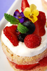 cake or sponge cake with red berries and edible flowers layered with whipped cream on lilac background, summer cake