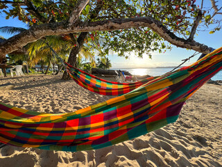 hammock on beach