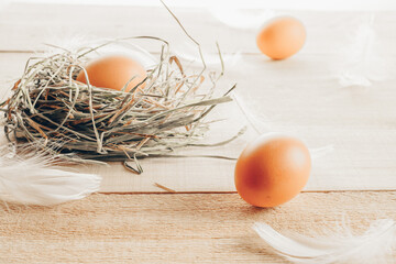 Egg color. Happy Easter decoration: natural colour eggs in basket with spring tulips, white feathers on wooden table background. Foil minimalist egg design, modern design template.