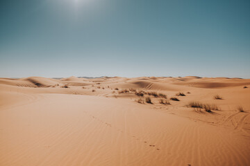 Fototapeta na wymiar Sahara.