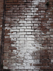 efflorescence on brick wall