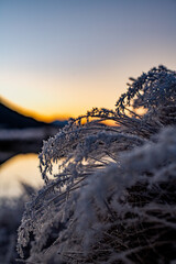Sunset in the mountains in Arthurs Pass, Canterbury, New Zealand