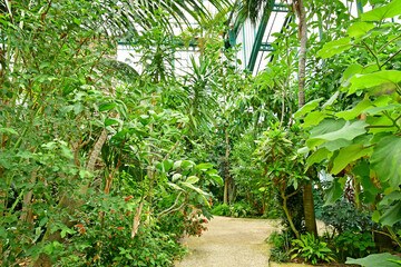 Paris; France - july 8 2021 : the Auteuil greehouses garden in the 16th arrondissement - obrazy, fototapety, plakaty