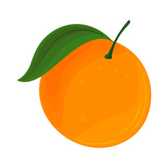 orange fruit icon