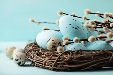 colorful easter eggs and willow branches on blue background - 491525671