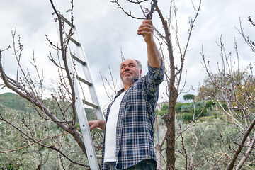 Seasonal pruning of trees. Mature bearded gardener, standing on ladder, pruning fruit trees with...