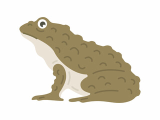 横から見た、イボガエルのイラスト