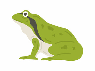 横から見た、アマガエルのイラスト