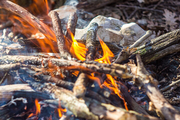 Campfire in the forest, close-up