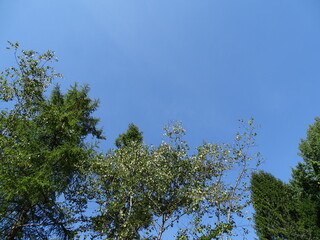里山