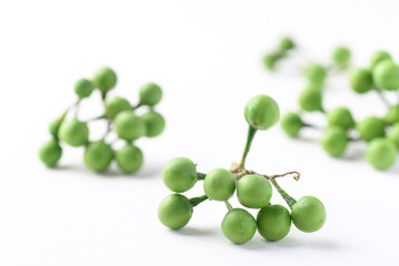 Pea eggplant or Turkey berry (Solanum torvum) on white background, Edible green fruits in Thai food curry or chili pastes