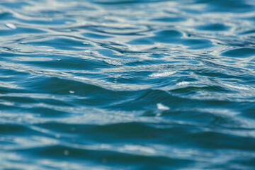 Another Beatiful day in Brazil