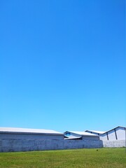 Fototapeta premium plane on the sky