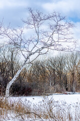 Standing Alone