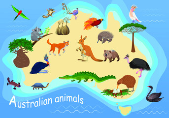 Animals of Australia on the map. Emo ostrich, cassowary, wombat, kangaroo, koala, cockatoo, crocodile, turtle, platypus, echidna and kiwi bird. Flora and fauna.