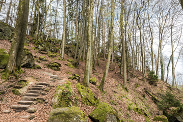 Walking trail and rocks stairs through the woods of the Teufelsschlucht Devils Gorge Nationale reserve