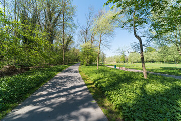 Green meadows and a walking trail and the Molenbeek creek at the Boudewijn city park on a Sunny day in spring