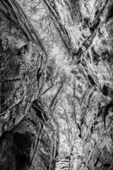 Nature landscape look up view of a narrow rock formation corridor towards bare trees and the sky at the Devil's gorge nature reserve around Irrel
