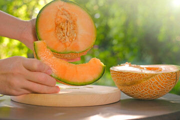 Melon.piece of ripe melon.Melon in a cut in female hands. Appetizing summer fruits. Women's hands...