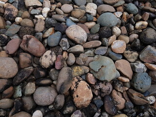 Coral texture for an industrial background