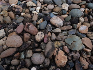 Coral texture for an industrial background