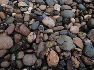 Coral texture for an industrial background