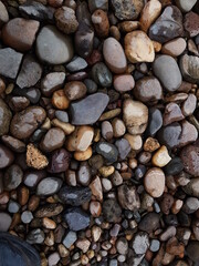 Coral texture for an industrial background