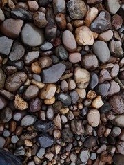 Coral texture for an industrial background